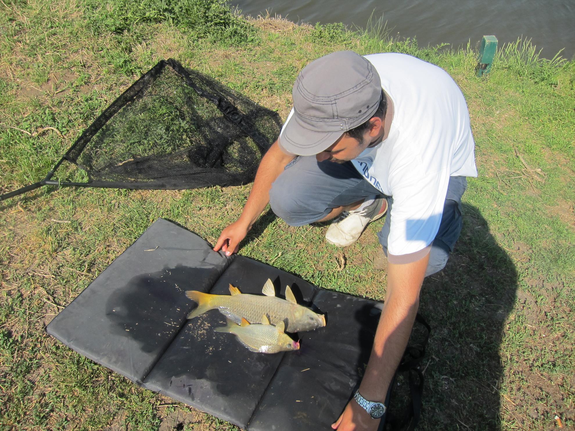 Solacolu - mai 2012 - img2388.JPG